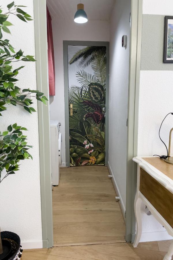 ואלנס Appartement Lumineux 1 Chambre Hypercentre Place St Jean מראה חיצוני תמונה